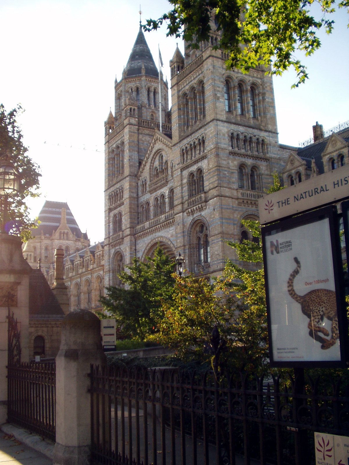 The natural history museum.jpg